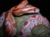 DSCN2446.JPG