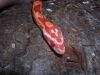 DSCN2457.JPG