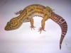 DSCN2671.JPG
