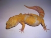 DSCN2677.JPG