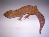 DSCN2679.JPG