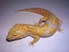 DSCN2680.JPG