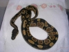 DSCN2685.JPG