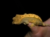 DSCN2840.JPG