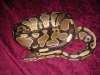 DSCN2849.JPG