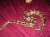 DSCN2850.JPG