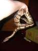 DSCN2856.JPG
