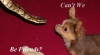 DSCN2857.JPG