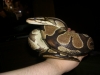 DSCN2859.JPG