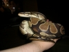 DSCN28591.JPG