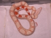 DSCN3402.JPG