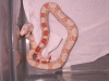 DSCN3405.JPG