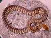DSCN3761.JPG