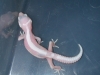 DSCN6263.JPG