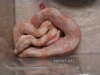 PICT0008.JPG