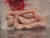 PICT0011.JPG