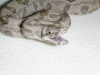 Various_023.jpg