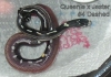 baby4.jpg