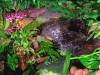 gh6_waterfal_psd_psd.jpg