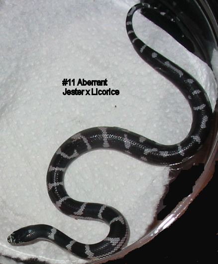 11aberrant