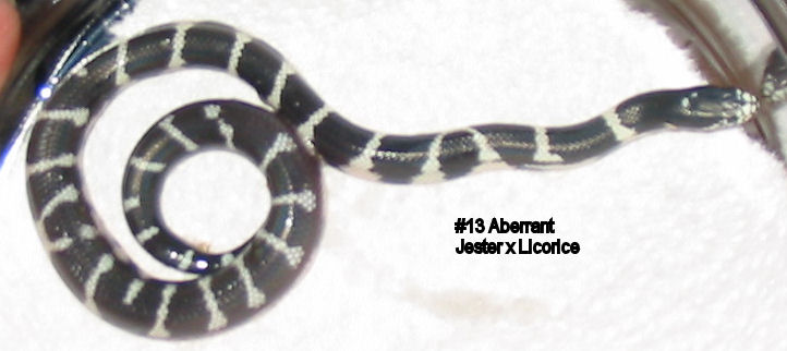 13aberrant