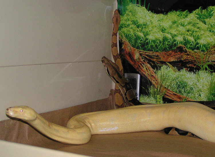 PICT00071