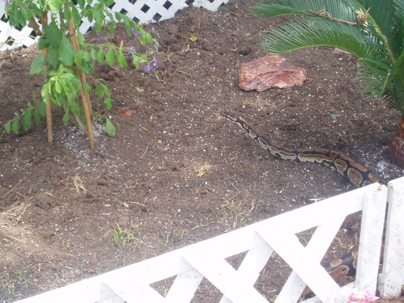 Picture_314