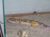 000_0293.JPG