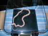 07_Male_Ghost_het_motley_1.jpg