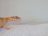 100_1371.JPG