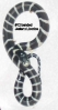 12banded.jpg