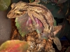 2012-03-30_21-42-13_681.jpg