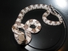 6F-IMG_0447.JPG