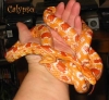 Calypso.jpg