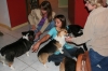Chispa_in_Frosty_Paws_Heaven.JPG