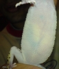 DSC00004.JPG