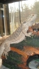 DSC01366.JPG