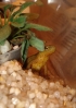 DSC01747.JPG