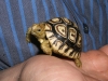 DSCF2965.JPG