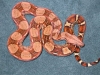 DSCN3390.JPG