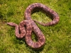 DSCN3408.JPG