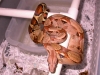 DSCN3830.JPG