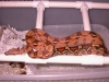 DSCN3835.JPG