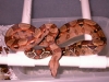DSCN3836.JPG