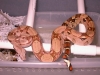 DSCN3839.JPG