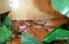 PICT0010.JPG