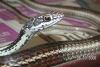 PICT0024.JPG