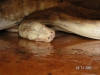 PICT0073.JPG