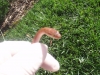 Picture_026.jpg