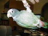Picture_036_sized.jpg